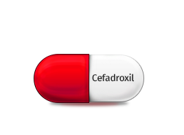 CEFADROXIL CEFADROXIL